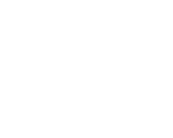 Partner Shopify and Google Partner