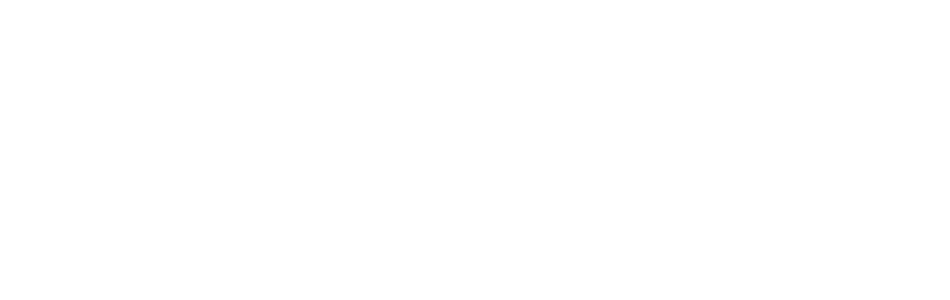 Sklep internetowy Shopify Plus